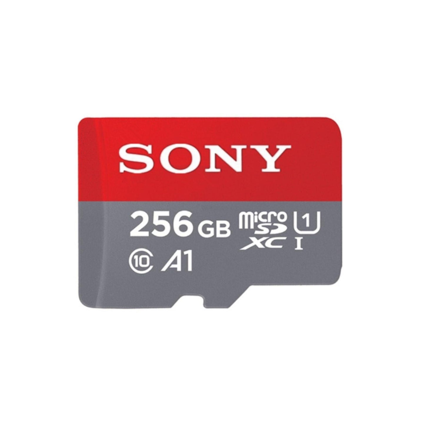 Memoria Micro SD 1TB SONY - AudioPlanet